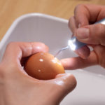 paroknowledge snowice (102 von 21)