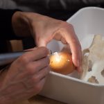 paroknowledge snowice (113 von 21)