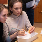 paroknowledge snowice (98 von 21)