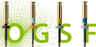 CanalPro Jeni: Innovatives Konzept in der Endodontie