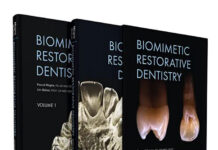 Kurze Fasern, große Wirkung – biomimetische Konzepte im Fokus