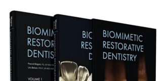 Kurze Fasern, große Wirkung – biomimetische Konzepte im Fokus